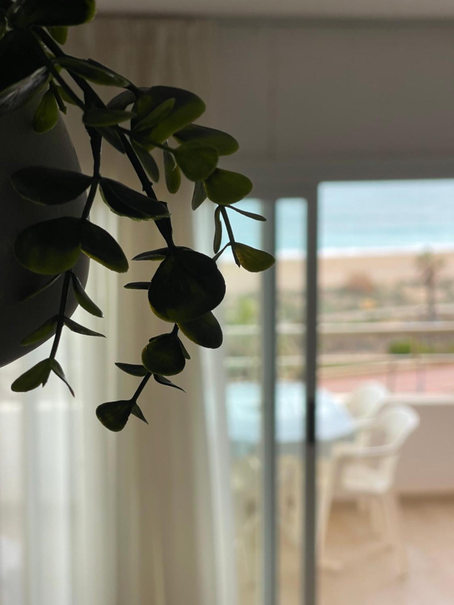 Penismar 67 Apartment Peniscola Bagian luar foto